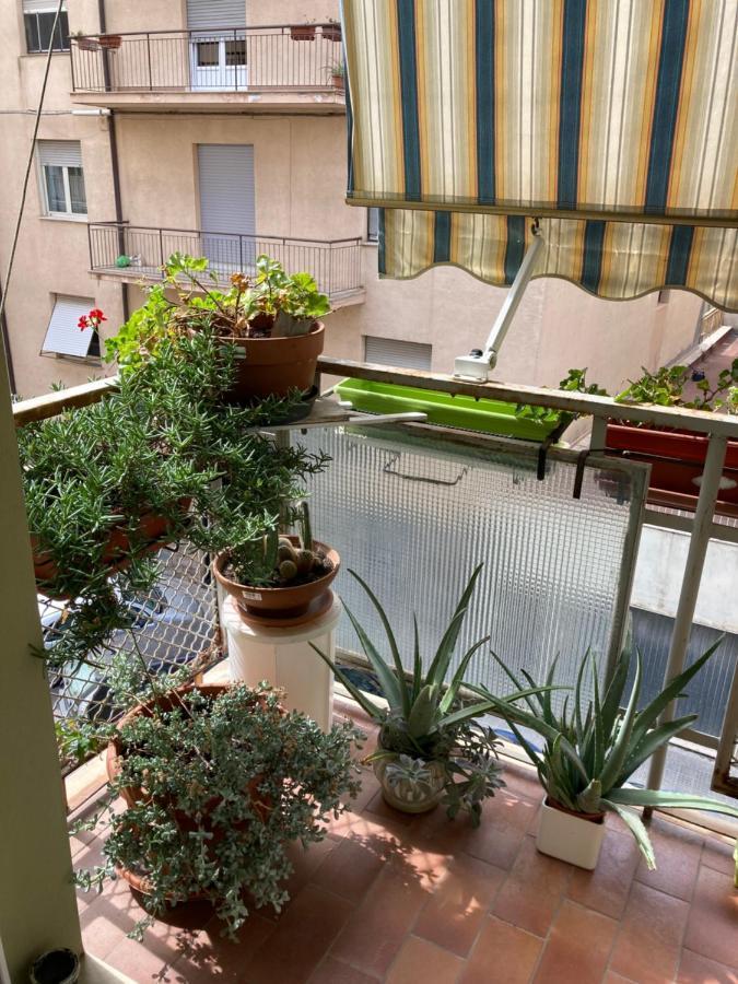 ساساري B&B Marsiglia المظهر الخارجي الصورة